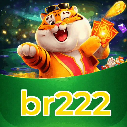 Certificações de segurança e licenças da br222